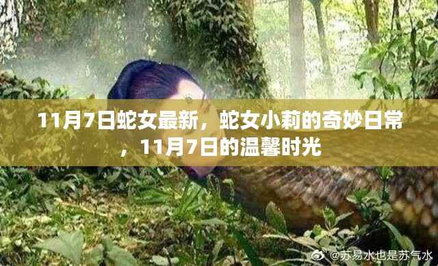蛇女小莉的奇妙日常,11月7日的温馨时光记录
