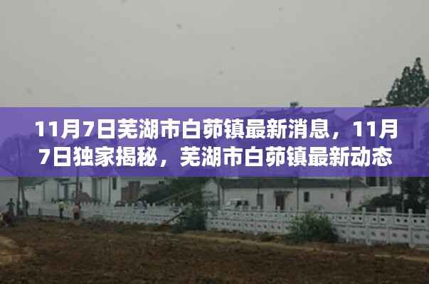 芜湖市白茆镇最新动态揭秘,11月7日独家消息更新