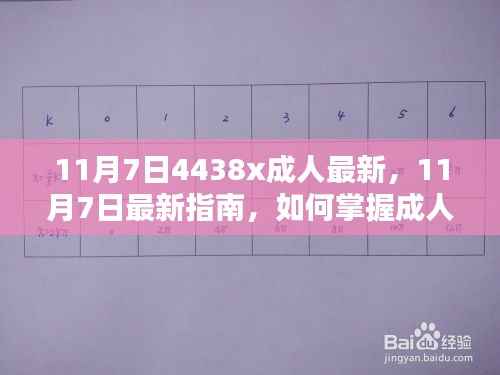 掌握进阶技能，成人学习指南与最新学习技能解析