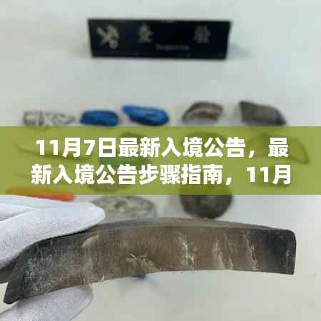 11月7日最新入境公告步骤指南,顺利入境的必备指南