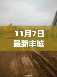 丰城市人事任免动态，新任领导力量揭晓（11月7日更新）