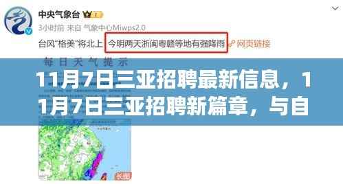 11月7日三亚最新招聘信息，与自然美景邂逅的求职之旅