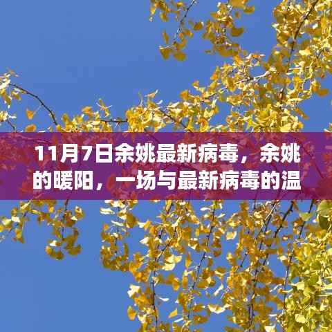 余姚暖阳下的病毒挑战,最新病毒与温馨日常冒险