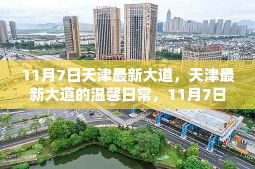 天津最新大道温馨日常,11月7日的快乐时光