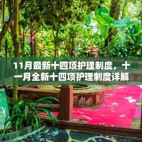 最新护理制度详解,重塑护理品质的十一月指南与三个关键要点