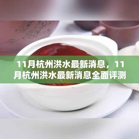 杭州洪水最新消息全面评测与介绍(11月最新)