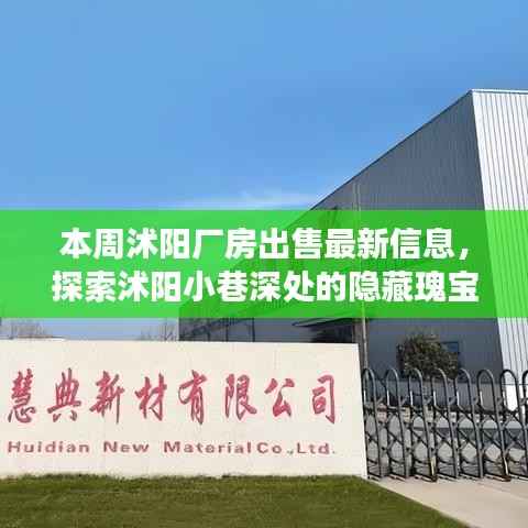沭阳厂房出售最新信息,探索隐藏瑰宝与独特小店的故事