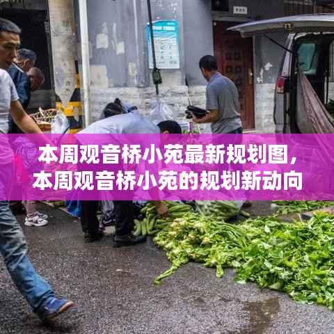 揭秘观音桥小苑最新规划图,未来生活蓝图本周揭晓