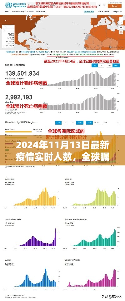 全球瞩目!2024年11月13日疫情实时人数报告与回顾