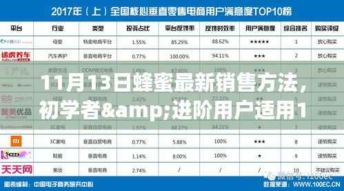 蜂蜜销售实战指南，最新销售方法，适合初学者与进阶用户实战步骤解析（11月最新）