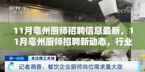 11月亳州厨师招聘最新动态与热门职位及求职指南