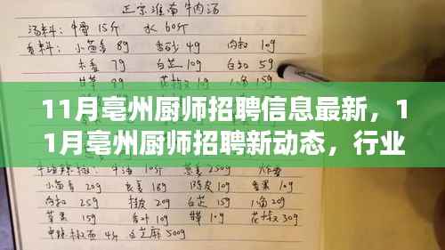 11月亳州厨师招聘最新动态与热门职位及求职指南