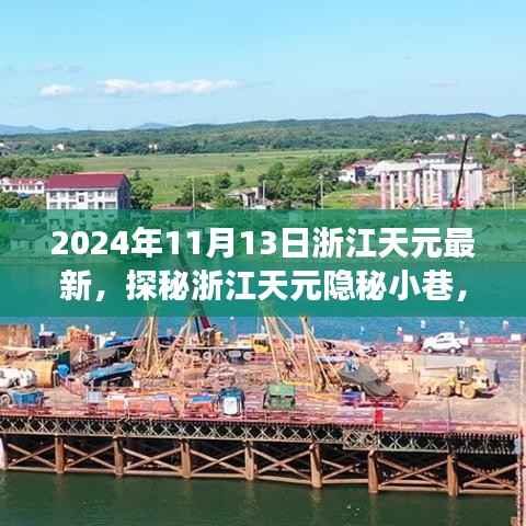 探秘浙江天元隐秘小巷,一家特色小店的独特故事(最新2024年11月13日)
