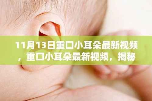 揭秘重口小耳朵在特定领域的影响力与地位,最新视频曝光