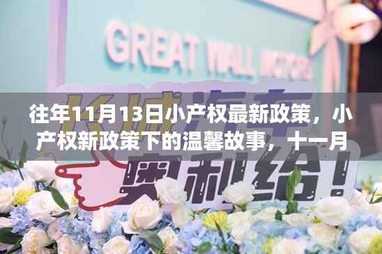小产权新政策下的奇遇与温馨故事，历年11月13日的政策变迁与体验