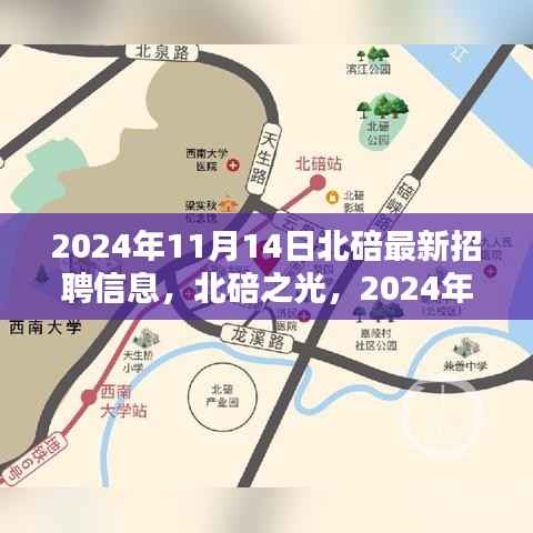 北碚之光,最新招聘信息深度解析与人才盛宴,探寻职业机遇的绝佳平台(2024年北碚最新招聘动态)
