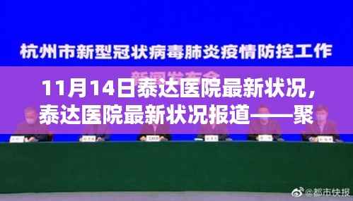 11月14日泰达医院最新状况报道,动态分析与要点聚焦
