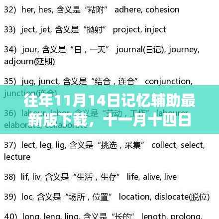 启程自然之旅,记忆辅助APP下载启动,寻找内心的桃花源