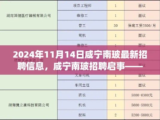 咸宁南玻最新招聘信息揭秘,职业发展机遇与职位探寻(2024年11月14日)