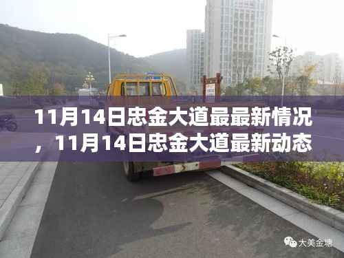 11月14日忠金大道的最新动态与情况概述