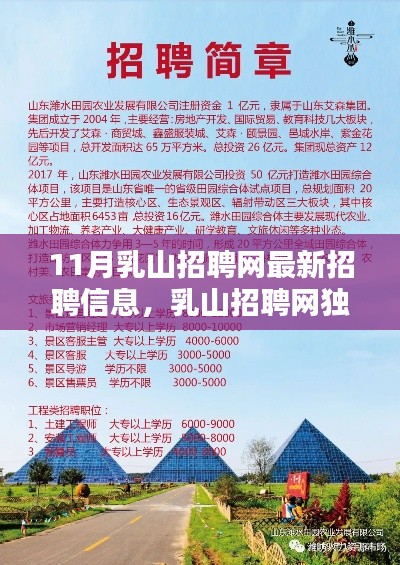 乳山招聘网独家爆料，最新招聘信息大揭秘，十一月求职者的福音