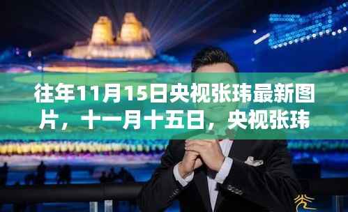 央视张玮最新图片揭秘,十一月十五日的温馨日常