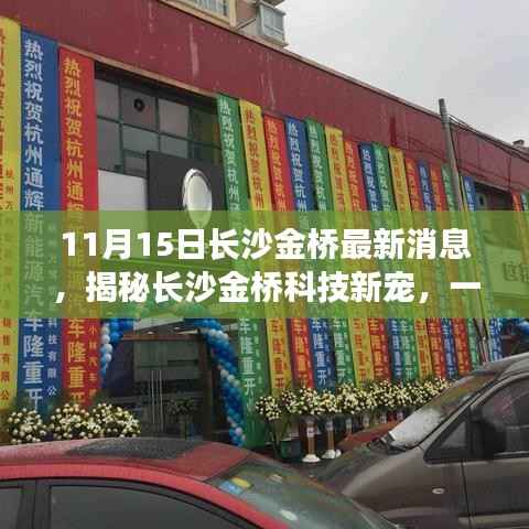 长沙金桥科技盛宴,揭秘新宠,科技与生活的完美融合(最新消息)