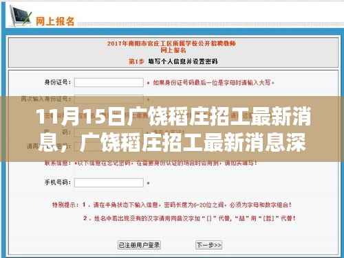 广饶稻庄最新招工消息深度解析与介绍，11月15日招工动态速递