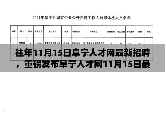 阜宁人才网11月15日最新高科技产品招聘,领略前沿科技魅力,启程未来生活革新之旅