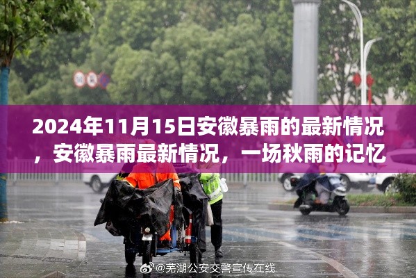 安徽暴雨持续更新,秋雨的记忆与影响,最新情况揭秘(2024年11月15日)