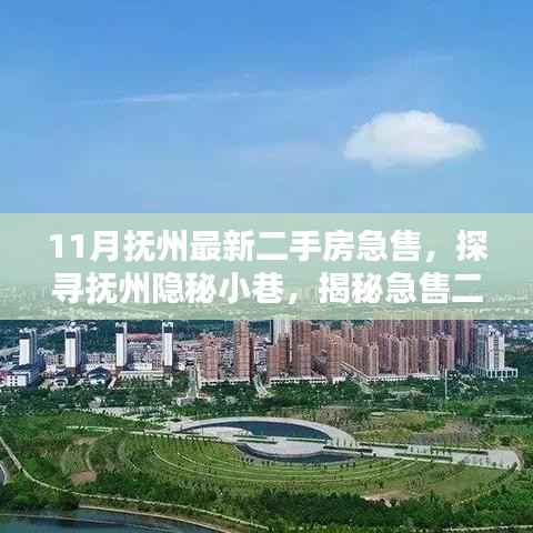 揭秘抚州隐秘小巷,最新急售二手房下的独特小店探索