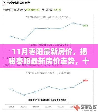 揭秘枣阳最新房价走势与未来趋势预测(深度剖析)
