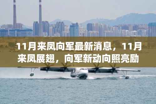 11月来凤向军新动态,展翅高飞,照亮励志之路