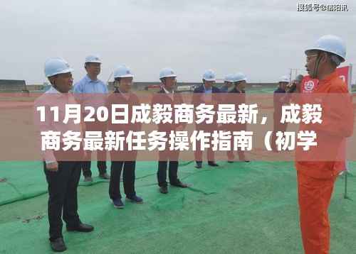 成毅商务最新操作指南,从初学者到进阶用户的全方位指导(11月20日更新)