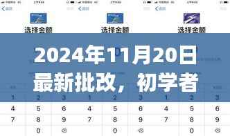 初学者与进阶用户通用指南，最新批改步骤解析（2024年11月20日更新版）