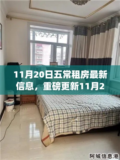11月20日五常租房最新信息,重磅更新11月20日五常租房市场全新动态——你的理想房源在这里!