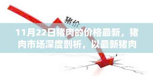 11月22日猪肉的价格最新,猪肉市场深度剖析,以最新猪肉价格动态为视角(11月22日评测报告)