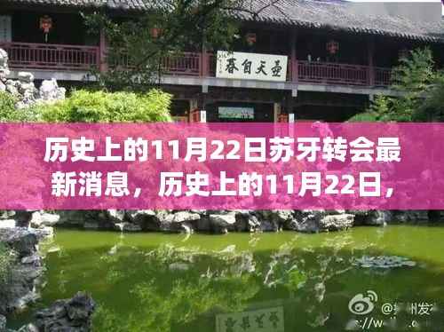 历史上的11月22日苏牙转会最新消息,历史上的11月22日,苏牙转会背后的自然之旅,追寻内心的宁静与微笑