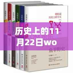 历史上的11月22日wolui的最新小说，历史上的11月22日，wolui最新小说背后的故事