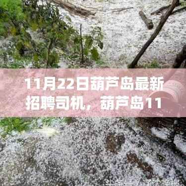 11月22日葫芦岛最新招聘司机，葫芦岛11月22日最新司机招聘启事，优质岗位等你来挑战！