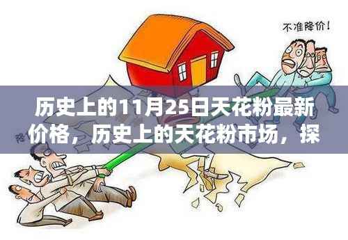 历史上的11月25日天花粉最新价格,历史上的天花粉市场,探寻11月25日价格变迁的轨迹