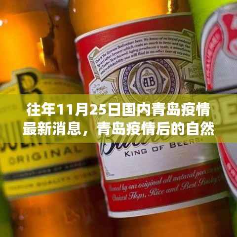 往年11月25日国内青岛疫情最新消息,青岛疫情后的自然之旅,寻找内心的宁静与美景的奇遇