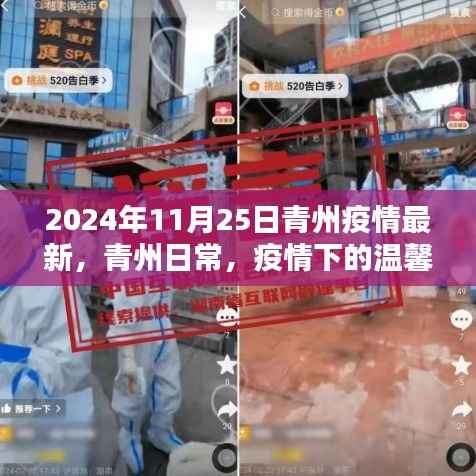 青州疫情下的温馨时光与友情闪耀——青州日常最新疫情报道