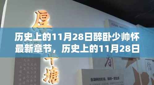 历史上的11月28日醉卧少帅怀,最新章节测评与深度介绍