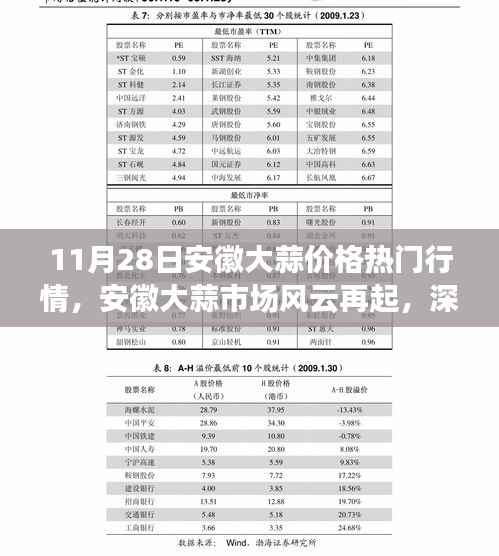 安徽大蒜市场风云再起，价格走势深度解读与行情热议