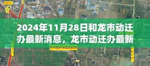 2024年11月28日和龙市动迁办最新消息,龙市动迁办最新消息揭秘,2024年11月28日的城市变迁回顾与展望