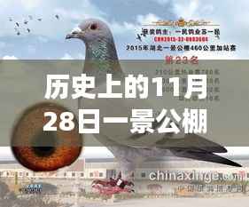 一景公棚11月28日重磅公告，高科技产品革新揭示未来科技生活新篇章