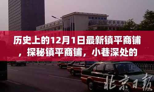 镇平商铺探秘，历史印记下的惊喜之旅（12月1日）