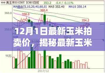 揭秘最新玉米拍卖行情，12月市场分析，最新玉米拍卖价公布