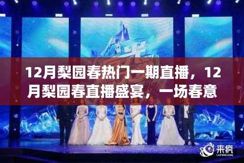 12月梨园春狂欢夜,直播盛宴与艺术狂欢